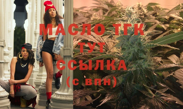 винт Ленск