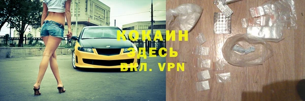 винт Ленск