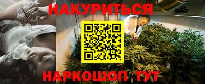 спиды Гай