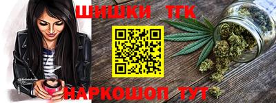спиды Гай