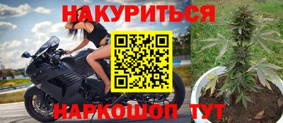 сатива Абакан