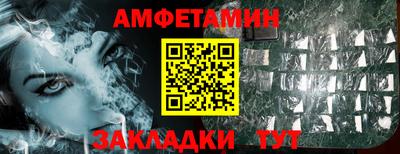 спиды Гай