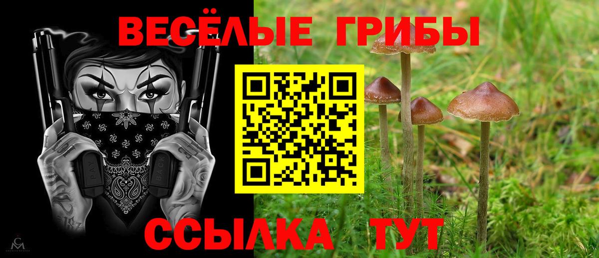 Галлюциногенные грибы ЛСД Калуга