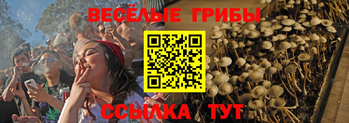 купить наркотики сайты  Галлюциногенные грибы мицелий  Калуга  Вход с VPN  Галлюциногенные грибы мухоморы 