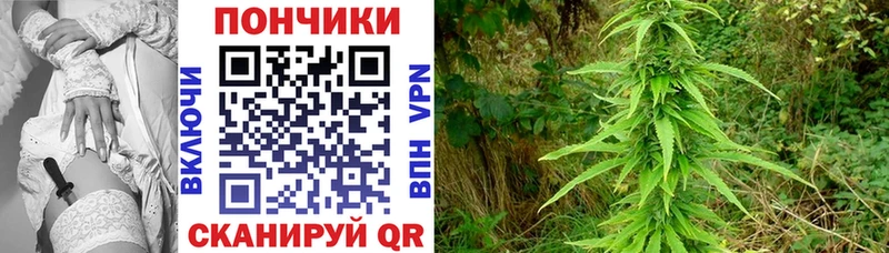 Шишки марихуана индика  shop клад  Калуга 
